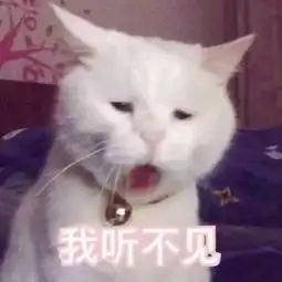发一波你们老是追着我要的表情图