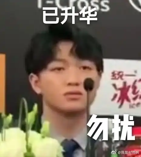 ts表情包二