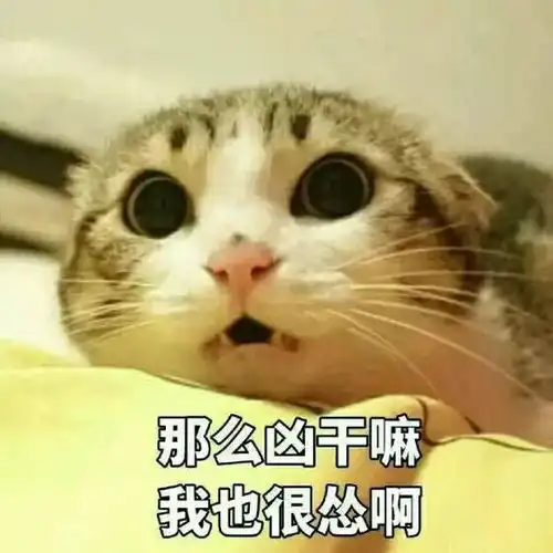 2017火遍成都的10家网红店,只有1的人全吃过