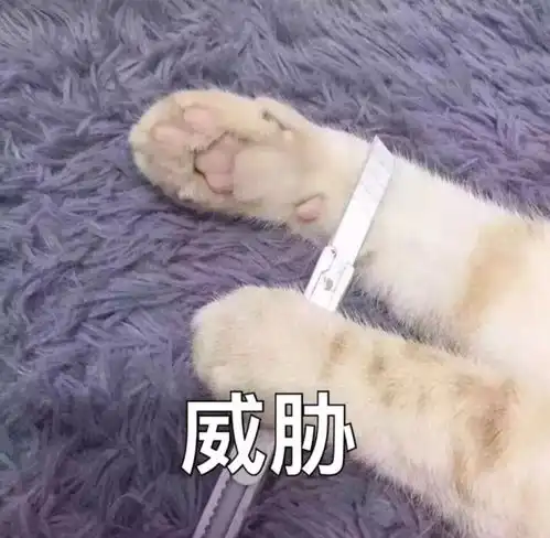 今日表情推荐,327