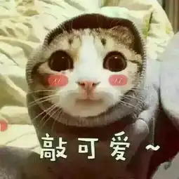 聊天怎么可以没有表情包,献上超级无敌可爱的猫咪表情包