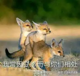你最不敢不想告诉别人的一个秘密是什么