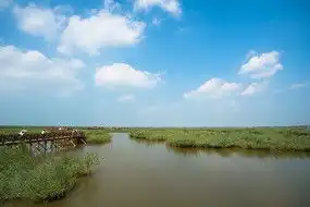 七里海芦苇荡中的栈道桥和蓝天白云下载2961081