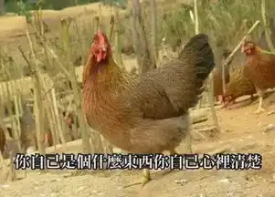 春节回老家,送你一波与亲戚聊天的微信表情包