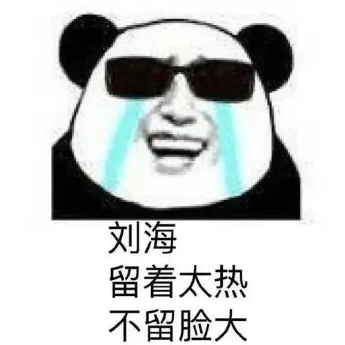 表情包人生到底是什么