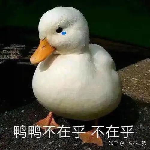 如何评价戴尔xps电脑