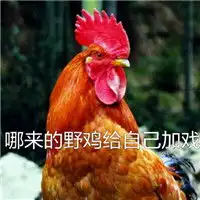 2017鸡年表情包搞笑文字版鸡听了只想赶快离开