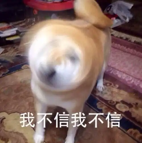 不要潜水的表情包不讲道
