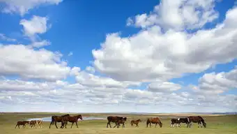 一路顺风表情包微信七里