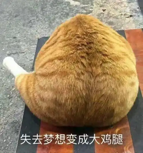 邵工,读研我该选啥方向啊