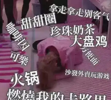 她们是20岁穿上婚纱的违规女孩,也是不被定义的火箭少女