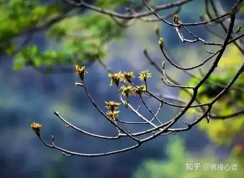 造佛像烧香点灯持斋的真实含义,你知道吗