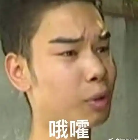 发际线男孩一夜爆红但捧红他的沙雕节目,才是全国网友的快乐源泉