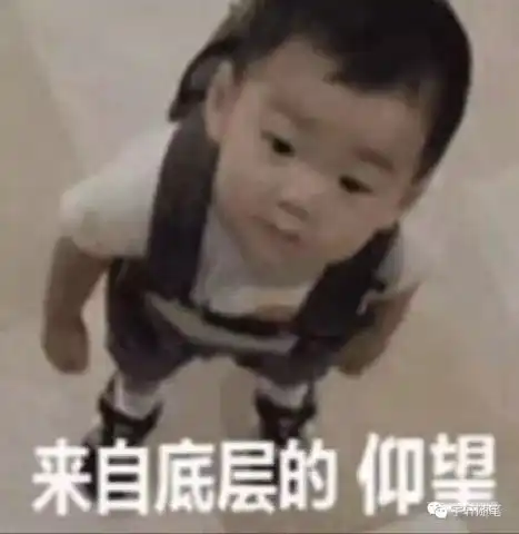 网赚核心执行力