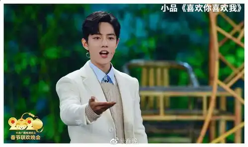 肖战喜欢谁表情包春晚