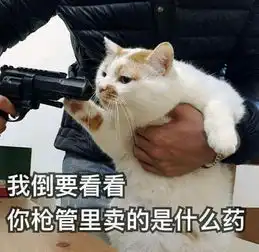 你有过为一件事奋不顾身吗