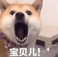 今日份沙雕表情包大全
