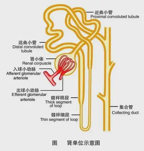 旱的旱,涝的涝,这些水是怎么来的