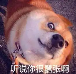 套路老爸父亲节哄爹必备表情包