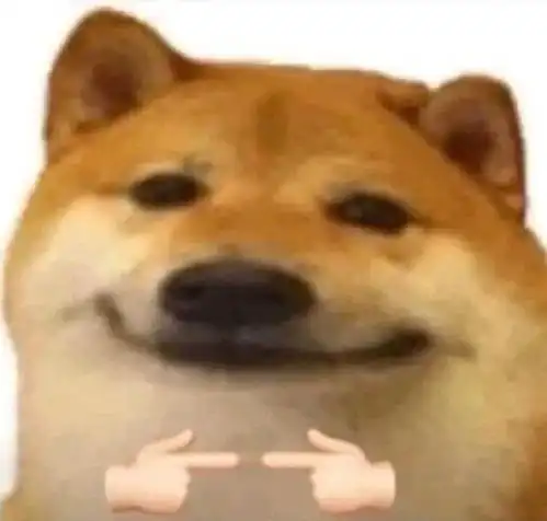 求关心表情包卢碧