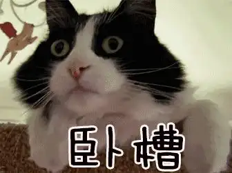龙州人注意比裸贷更容易套路人心的培训贷,不要上当