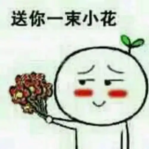 妇女节还黑女司机,数据甩你