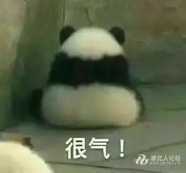你见过大熊猫脱裤子吗脱掉裤子的大熊猫简直了