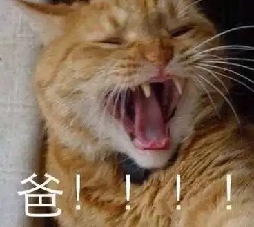 父亲节不要再在朋友圈过,好好跟爸爸聊聊
