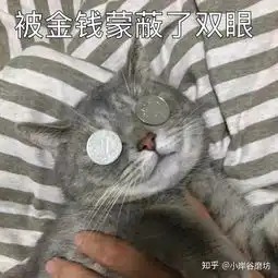 怎么赚大钱,什么行业赚钱