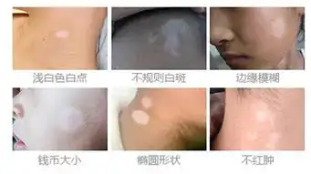 惊,老炮儿冯小刚因为她而放弃生育