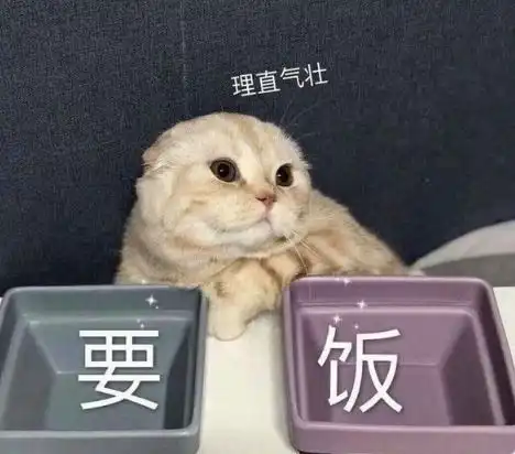 幽默笑话老师要求写一篇作文
