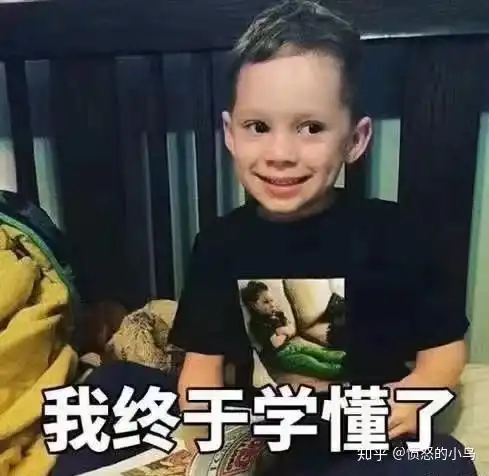 黑炭表情包的小男孩柯基