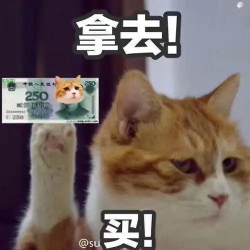 钱钱钱图片表情包不理