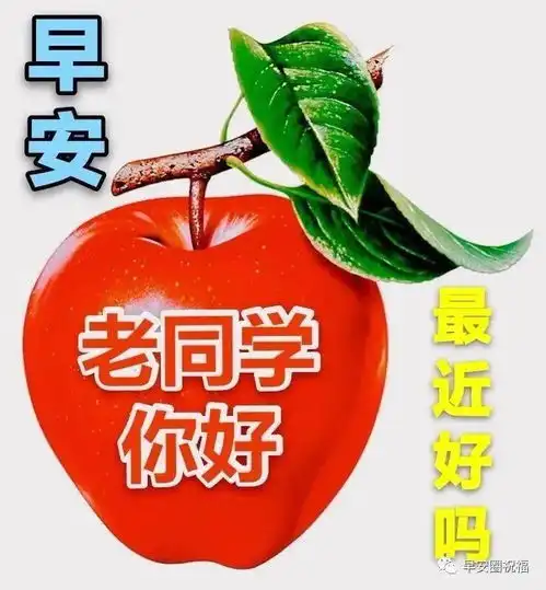 求关心表情包早上好