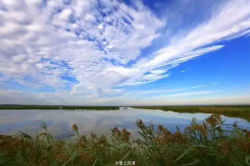 天津八大湿地大盘点天蓝水清岸绿