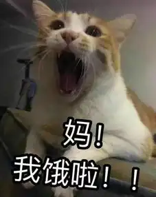 暴走不约表情包条约