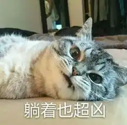 生活终于要对我这个小猫咪动手了