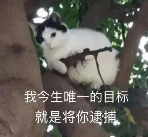 揭秘这些海王特质的星座男为何如此迷人