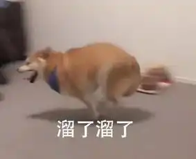 绝交吧,我们表情包不合