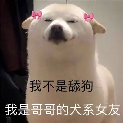 沙雕表情包我不是舔狗我是哥哥犬系女友