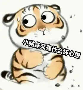 明日白露秋老虎的终结者来了