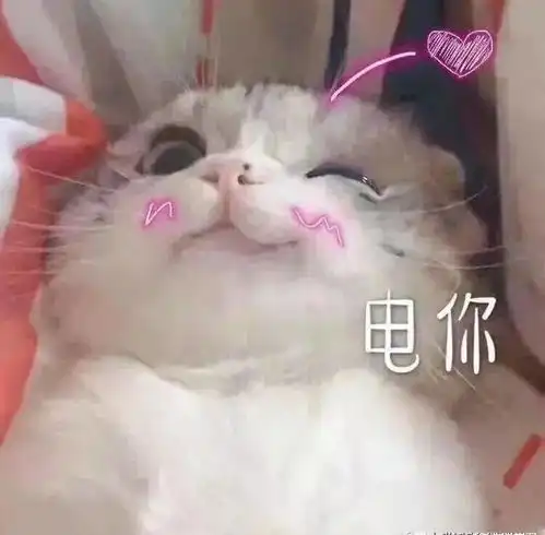 喵喵表情敲萌,让铲屎官毫无抵抗力