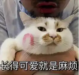 撩妹表情包可爱猫咪