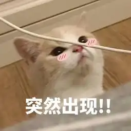 他居然是武魂2中唯一做过这件事的人
