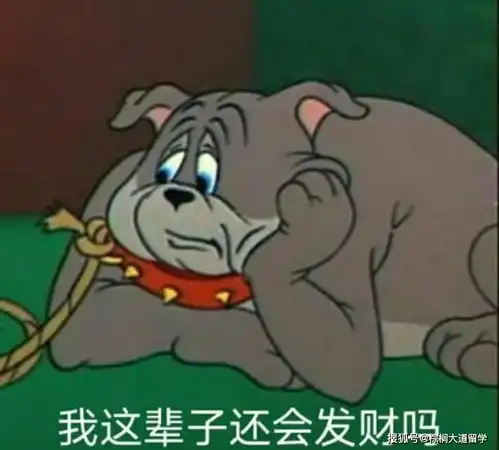 汤姆猫表情包图片蛾类