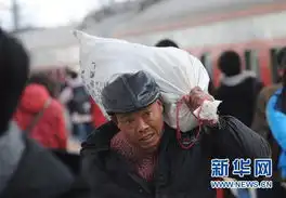 2011春运表情酸甜苦辣回家路