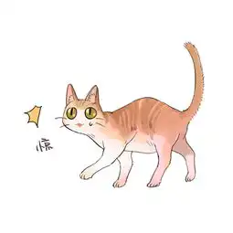猫咪心海底针,主子炸毛了可不得了,铲屎官该如何安抚
