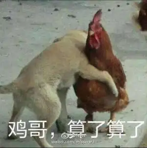 抓紧时间,你离进入名企的机会就要到了