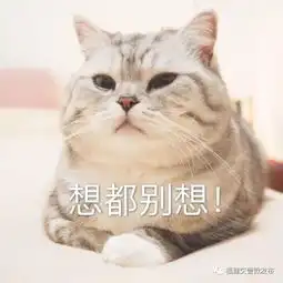高速公路违停倒车,别拿生命当儿戏