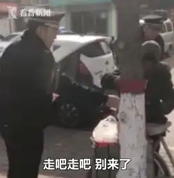 老太寒风中占道摆摊城管买走全部瓜子让其回家